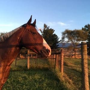 Meet your Posher, Mary
